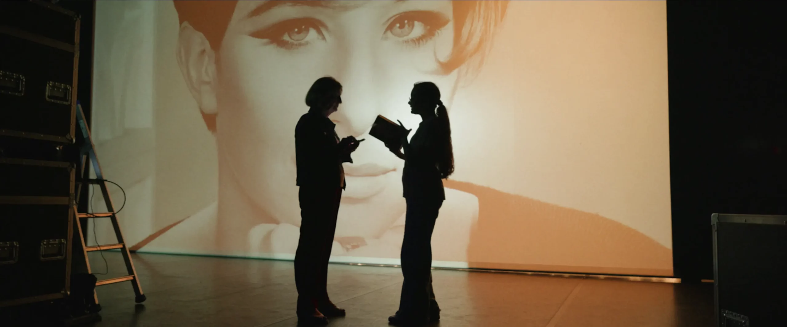 Vidéo + photogramme 1