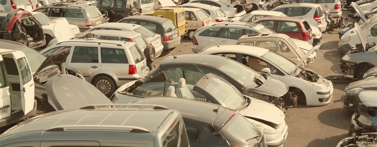 Vidéo + photogramme 1