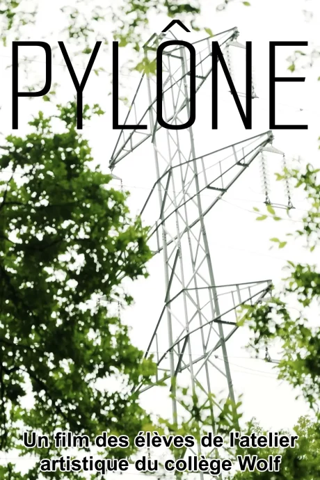 Affiche Pylône