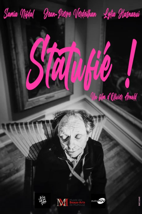 Statutfié ! Affiche